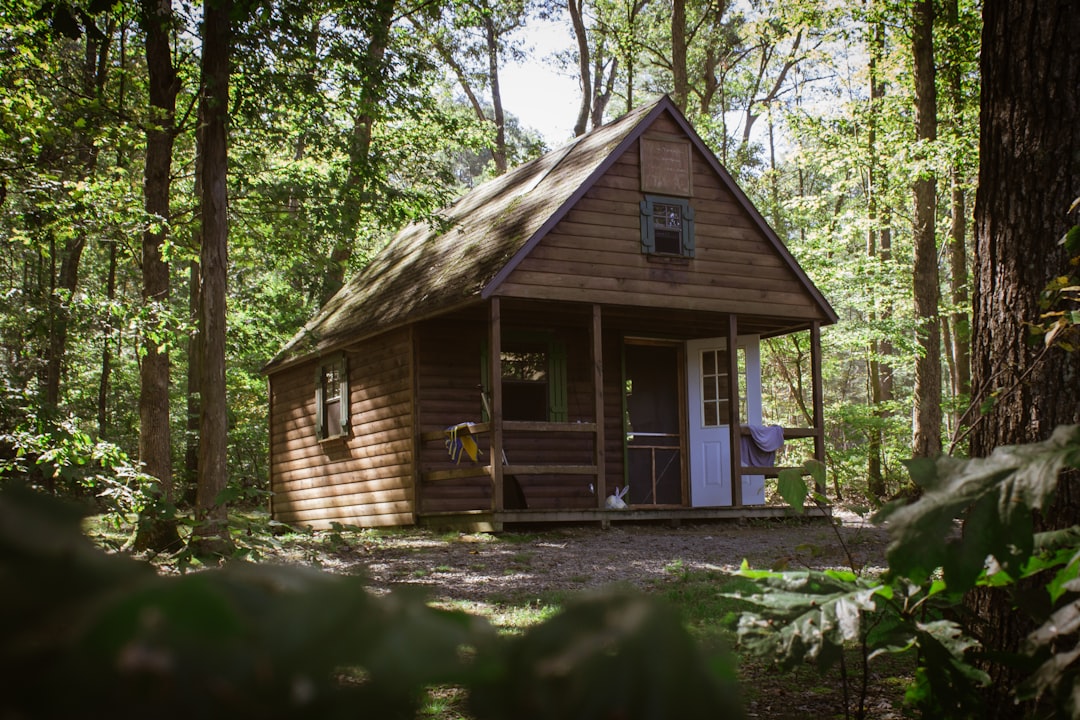 Oplev Naturen i Komfort – Campinghytter på Djursland